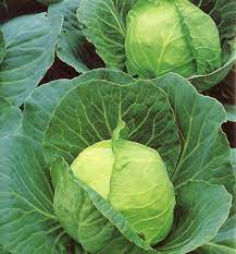 Always Grand Veggies