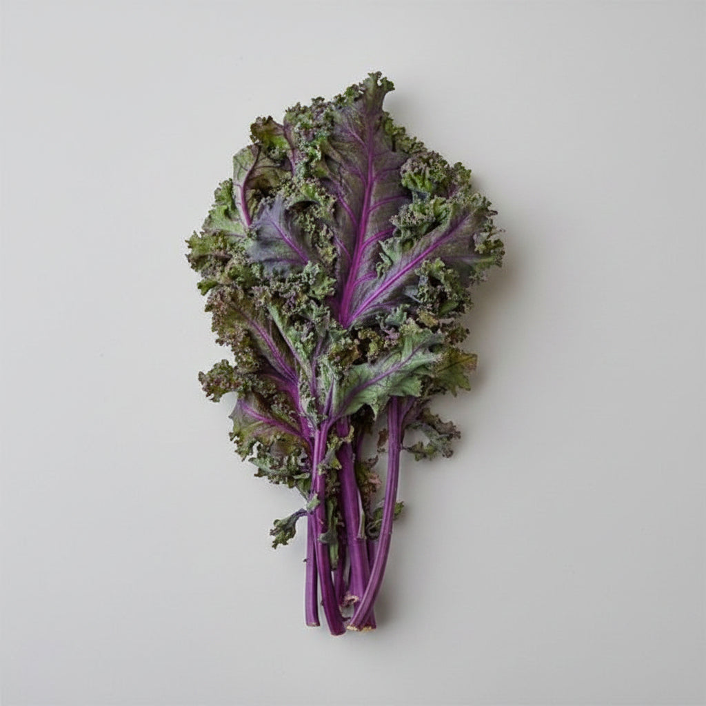 Kale Red Russian Seeds – Heirloom Tender Gourmet Favorite