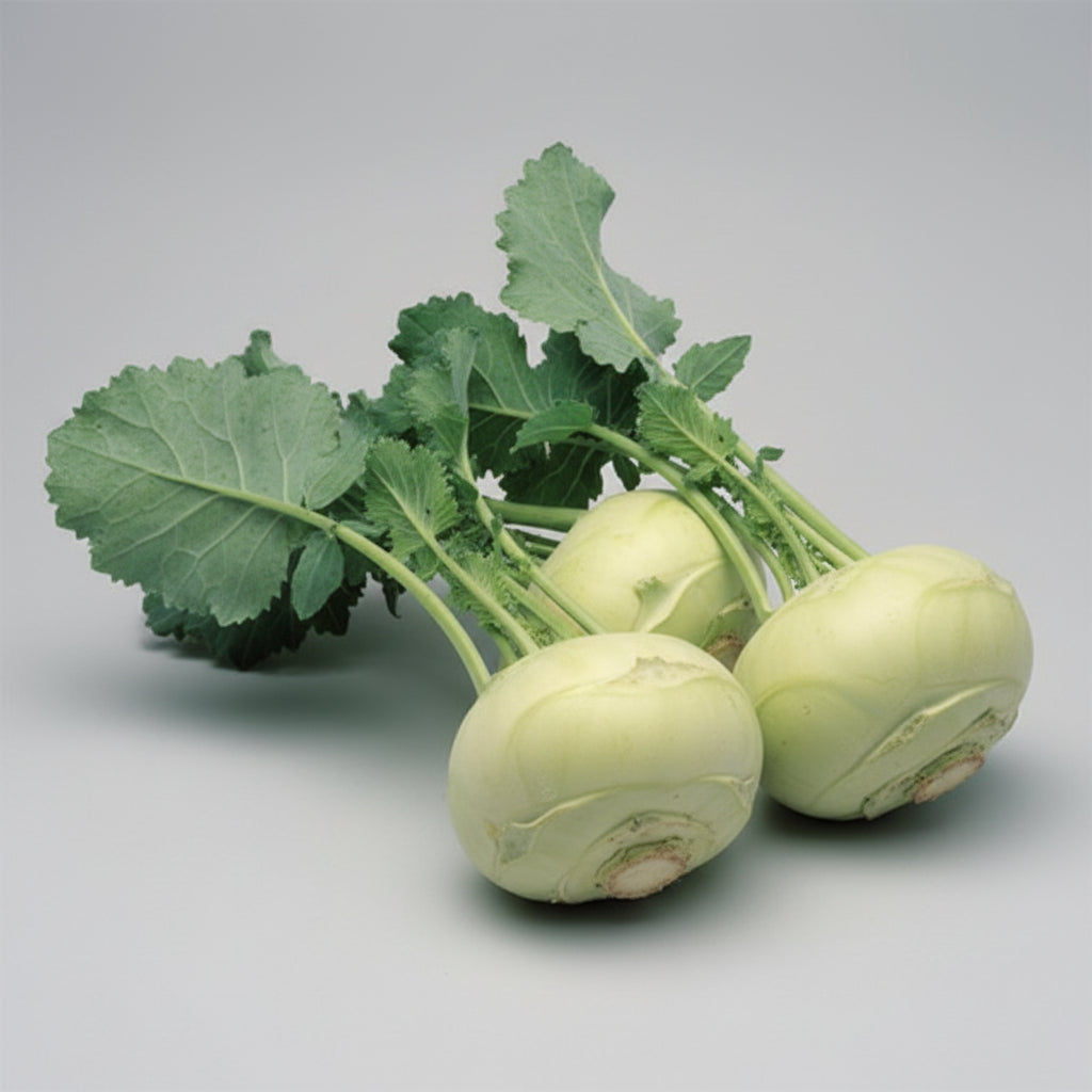 Kohlrabi White Vienna Seeds – Heirloom Fast-Maturing Standard
