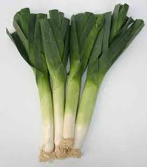 Leek, American Flag