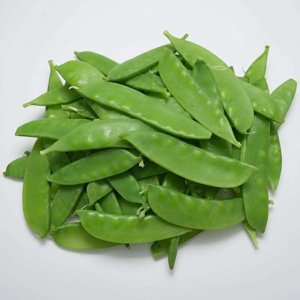 Pea Oregon Sugar Pod Seeds – Heirloom Sweet Snow Pea Classic