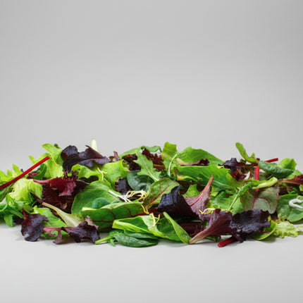 Spring Spinach & Salad Greens Mix Seeds – Heirloom Gourmet Blend
