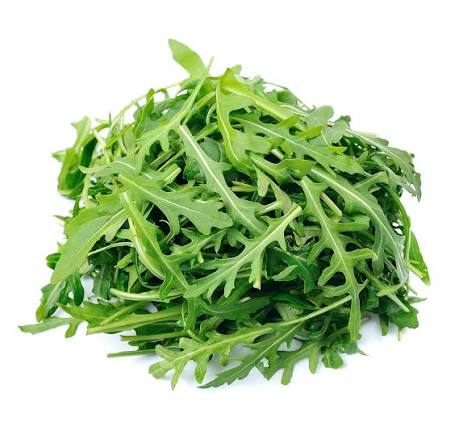 Arugula Rucola Seeds – Heirloom Peppery Italian Salad Classic