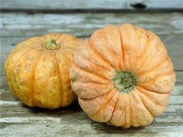 Pumpkin, Australian Butter