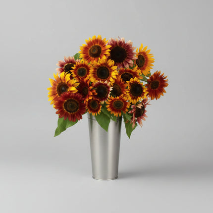 Tournesol, beauté d'automne