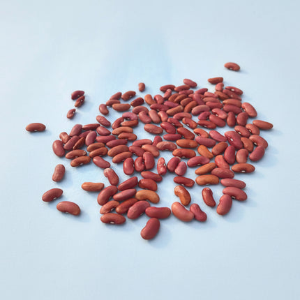 Bean Light Red Kidney Seeds – Heirloom Classic Baking & Soup Staple