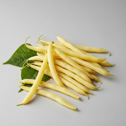 Bean Pencil Pod Black Wax Seeds – Heirloom Golden-Yellow Bush Classic