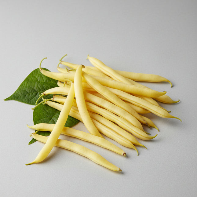 Bean Pencil Pod Black Wax Seeds – Heirloom Golden-Yellow Bush Classic