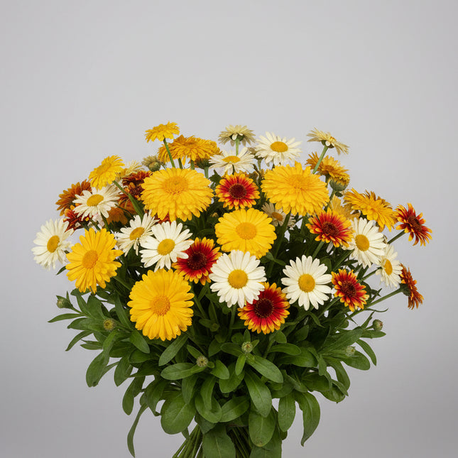 Wildflower Bee-Utiful Mix Seeds – Heirloom Bee Feeder Blend