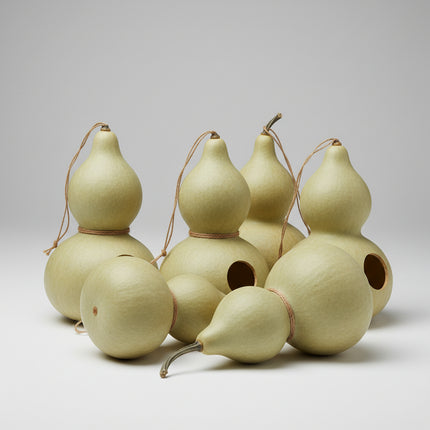 Gourde, "NICHE À OISEAUX"