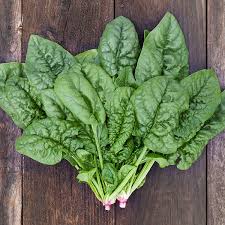 Spinach, Bloomsdale