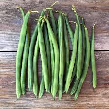 Pole Bean, Blue Lake