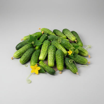 Concombre, Boston Pickling