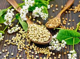 Buckwheat