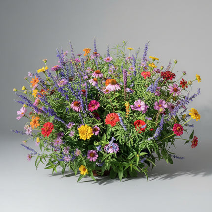 Mélange de fleurs pour buffet de bourdons