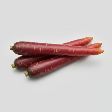 Carrot Purple Dragon Seeds – Heirloom Sweet Purple Specialty Classic