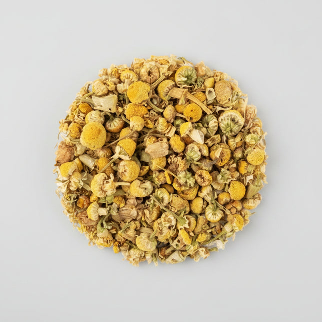 Chamomile Seeds – Heirloom Aromatic Tea & Pollinator Favorite