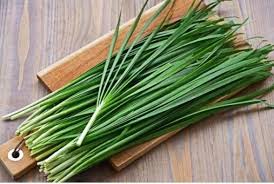 Chives