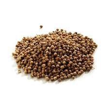Cilantro / Coriander