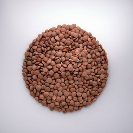 Lentilles pourpres