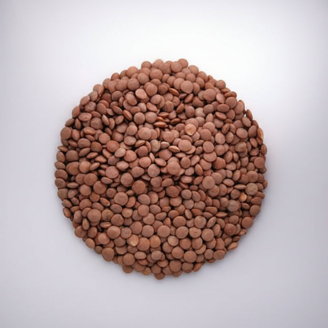 Lentil Crimson Seeds – Heirloom Fast-Cooking Red Lentil