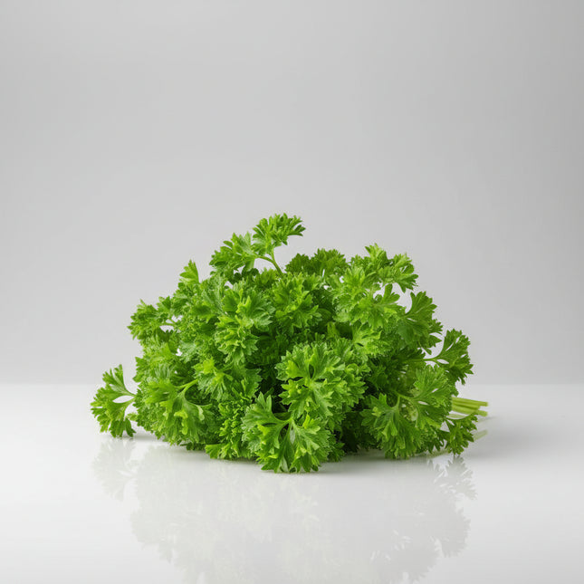 Celery Curled Leaf Seeds – Heirloom Aromatic Cutting & Soup Celery