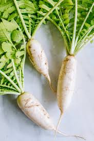 Radish, Daikon