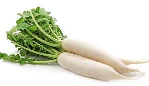 Radish, Daikon