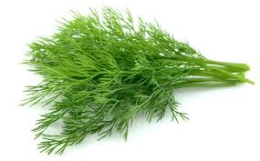 Always Grand Herbs