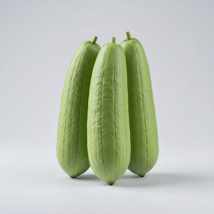Luffa naturel (Luffa)