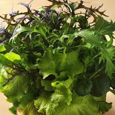 Lettuce, SIMPLYSALAD Global Gourmet Mix
