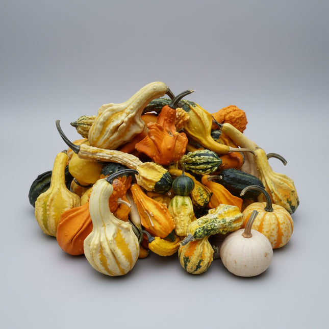 Gourd Gremlins Mixed Seeds – Heirloom Unique Craft Variety