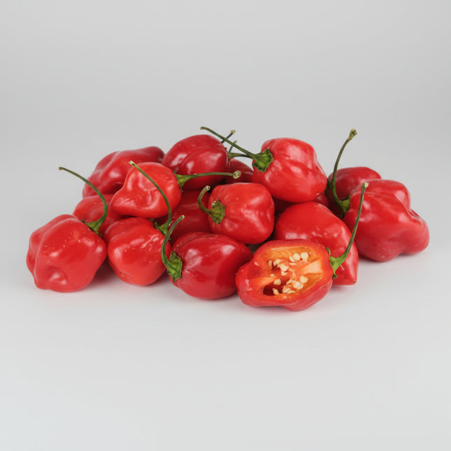 Pepper Red Habanero Seeds – Heirloom Fiery Hot Favorite
