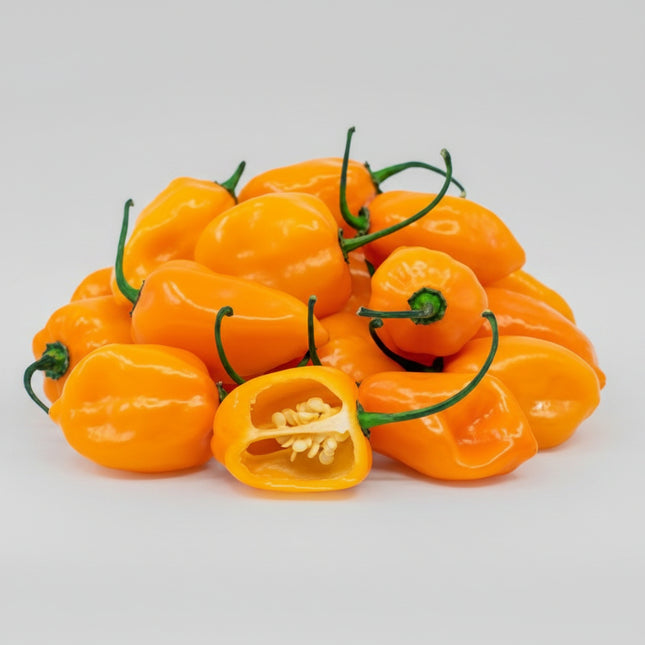 Pepper Orange Habanero Seeds – Heirloom Fiery Hot Favorite