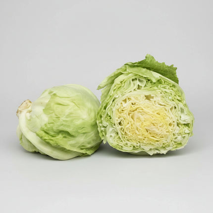 Laitue Iceberg