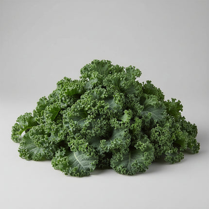 Kale Blue Curled Vates Seeds – Heirloom Compact & Frost-Hardy Superfood