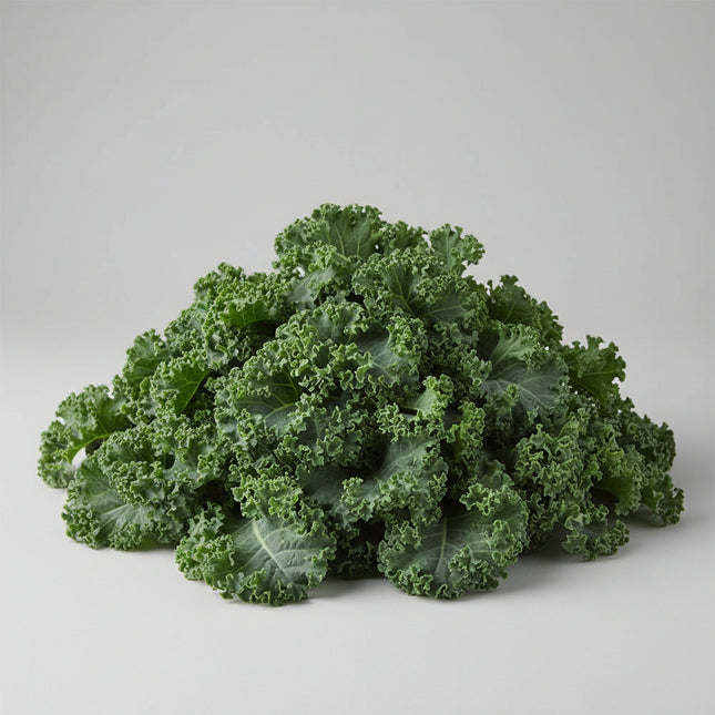 Kale Blue Curled Vates Seeds – Heirloom Compact & Frost-Hardy Superfood