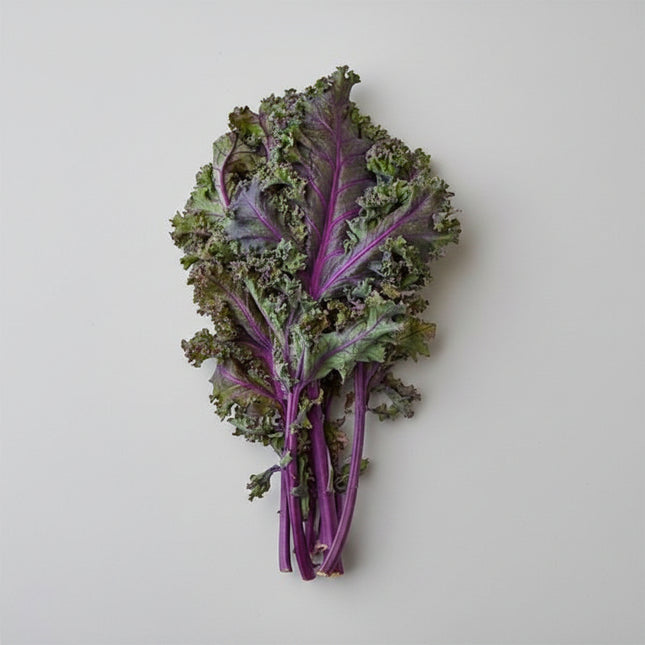 Kale Red Russian Seeds – Heirloom Tender Gourmet Favorite