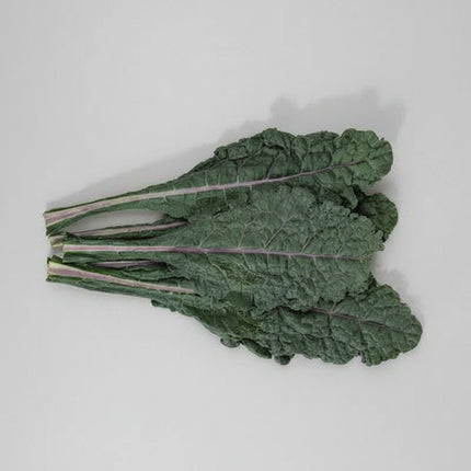 Kale Lacinato Seeds – Heirloom Tuscan Dinosaur Classic