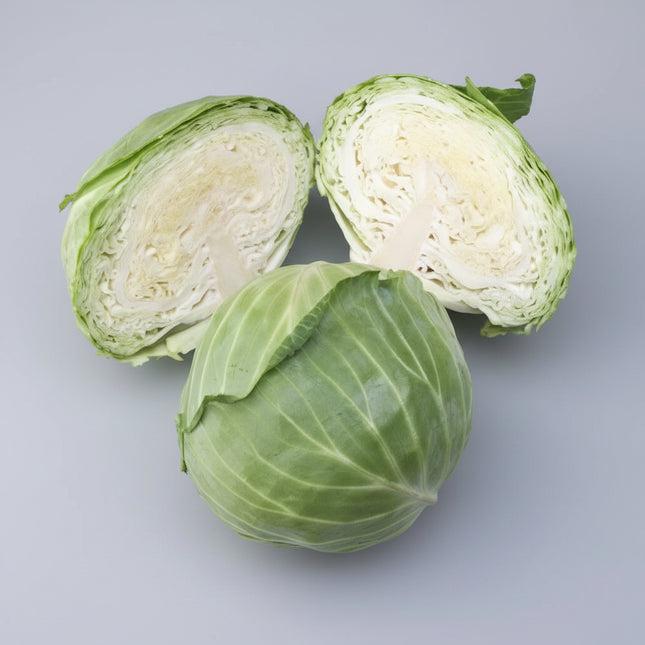 Cabbage Late Flat Dutch Seeds – Heirloom Giant Winter Storage Classic