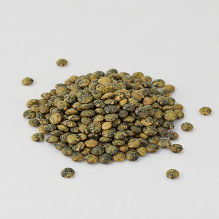 Lentil French Green Seeds – Heirloom Gourmet Puy-Type Legume Classic