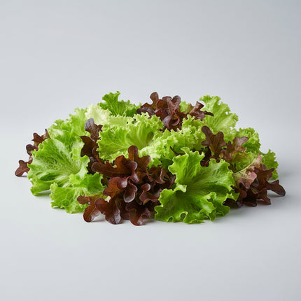 Lettuce Loose-Leaf Mix Seeds – Heirloom Gourmet Salad Blend
