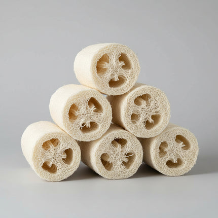 Luffa naturel (Luffa)