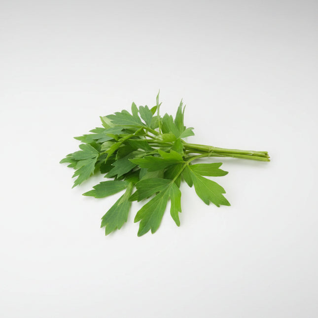 Lovage Seeds – Heirloom Robust Savory Favorite