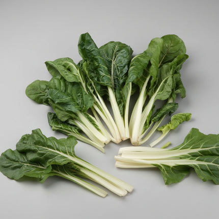 Chard Swiss Lucullus Giant Seeds – Heirloom Heavy Yielder