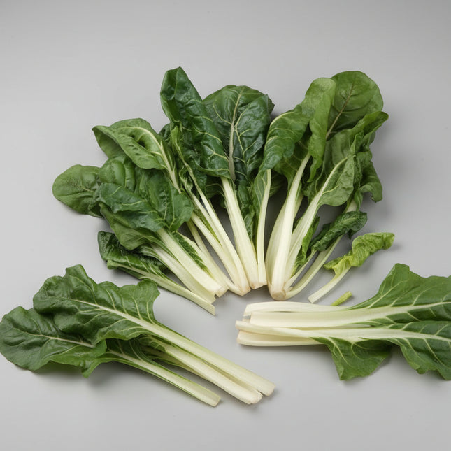 Chard Swiss Lucullus Giant Seeds – Heirloom Heavy Yielder