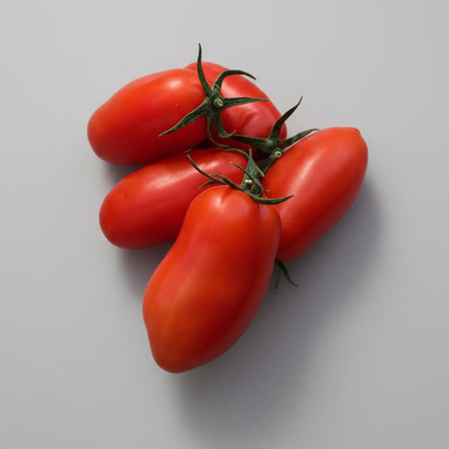 Tomato San Marzano Seeds – Heirloom Classic Italian Paste Standard