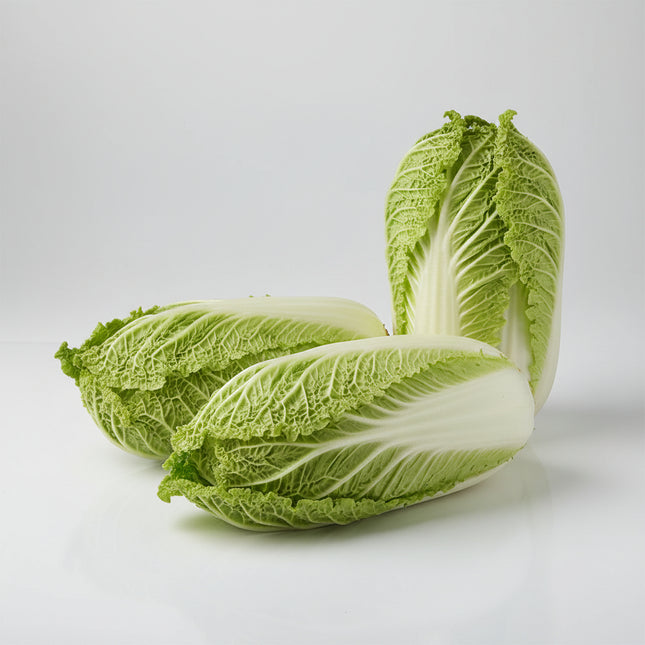 Cabbage Michihli Seeds – Heirloom Tall Cylindrical Asian Classic