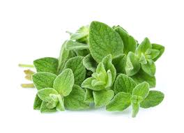 Always Grand Herbs
