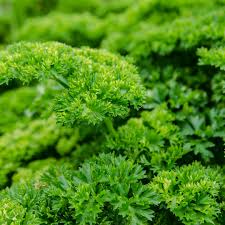 Always Grand Herbs